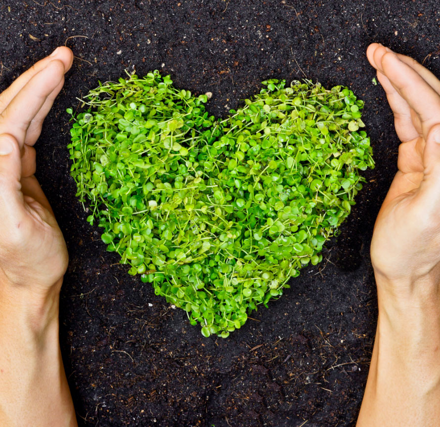 Social Responsibility