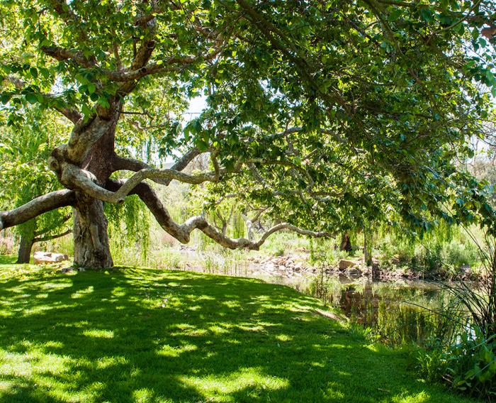 Hunter San Marcos Park